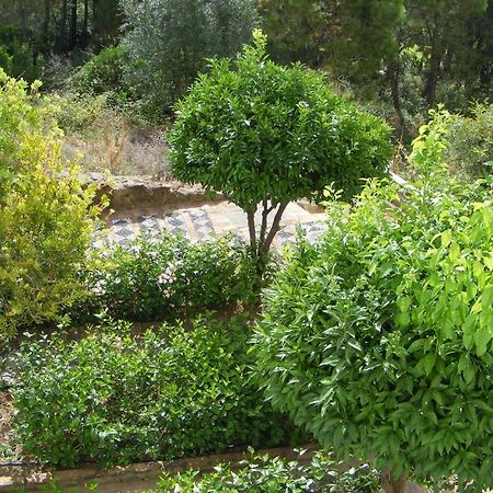 Apartamento Los Naranjos Бенахавис Номер фото